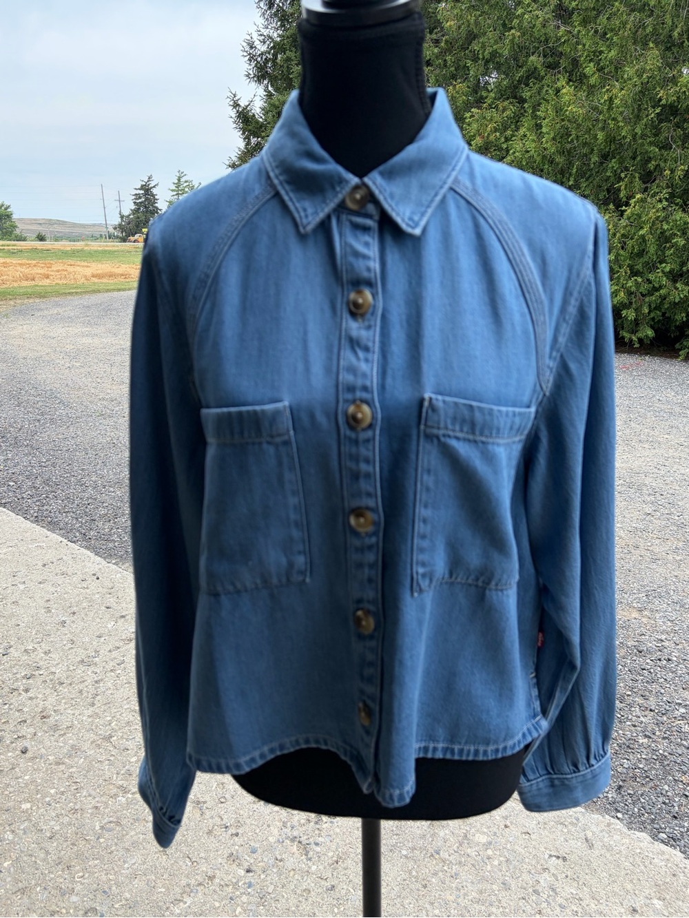 Levi’s Blue Denim Button-Up Jacket - Casual Women's Coat